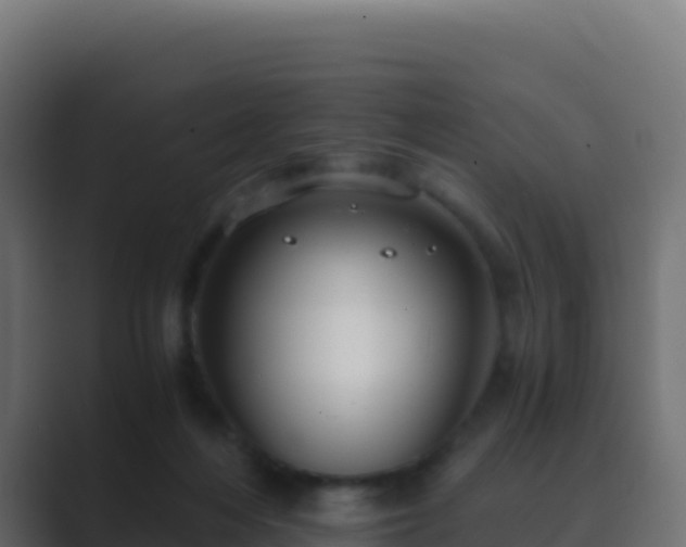 X0000089730216200706281555