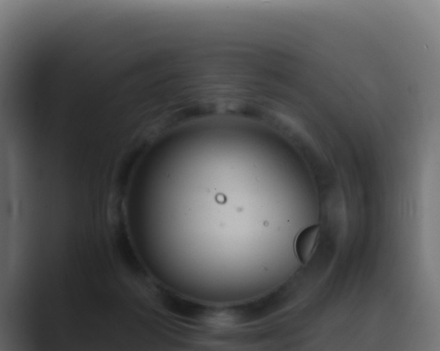 X0000089730218200706281555