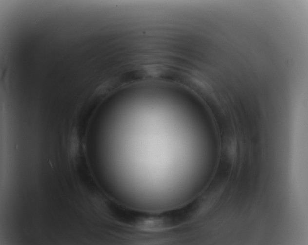 X0000089730220200706281555