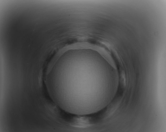 X0000089730221200706281555