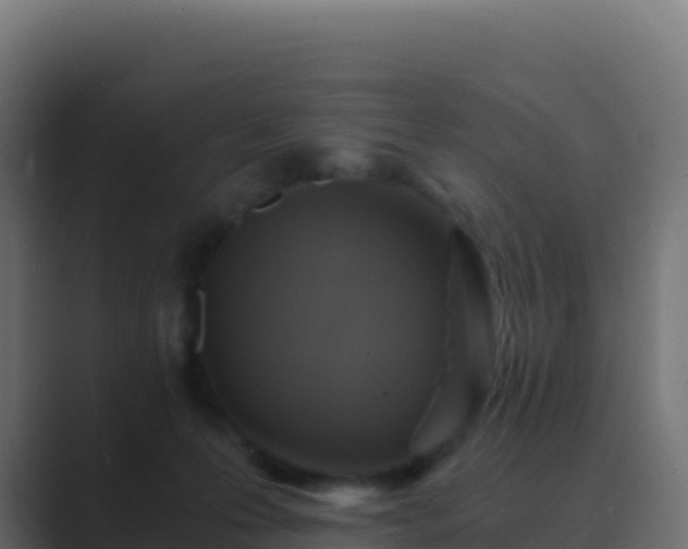 X0000089730223200706281555