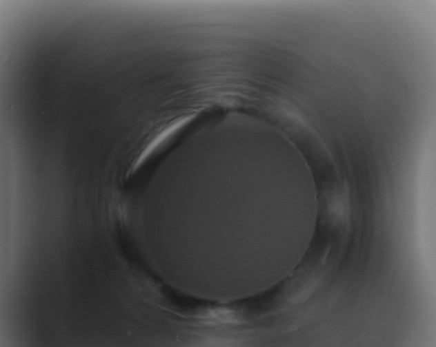 X0000089730224200706281555