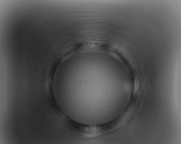 X0000089730225200706281555