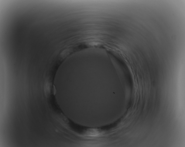 X0000089730227200706281555
