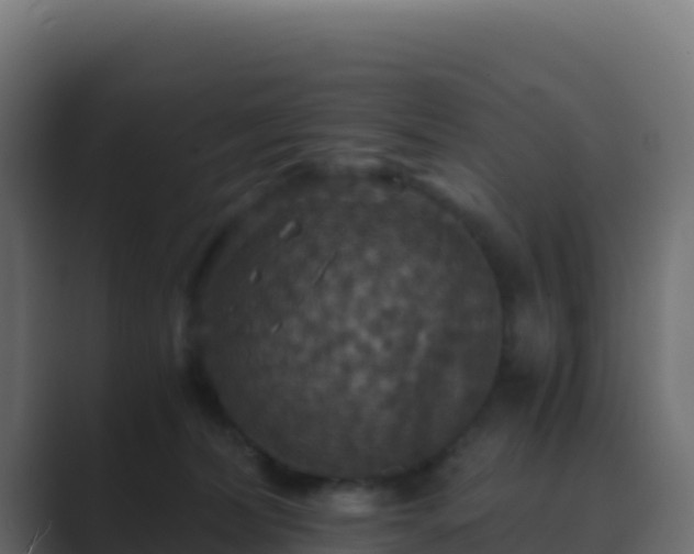 X0000089730228200706281555