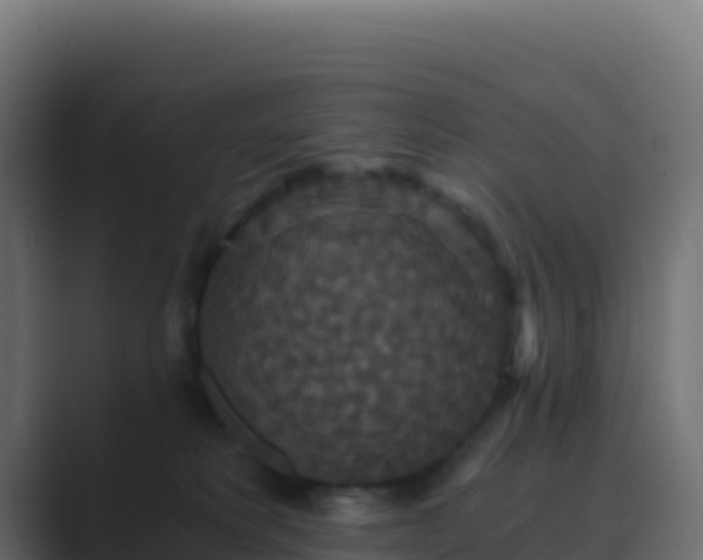 X0000089730229200706281555