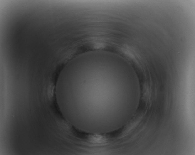 X0000089730230200706281555