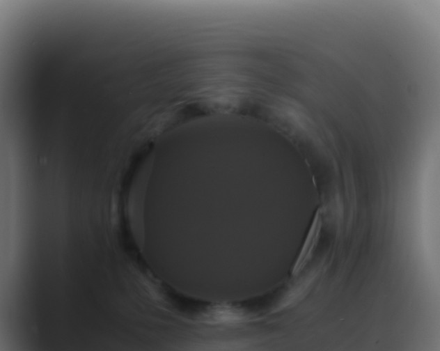 X0000089730231200706281555