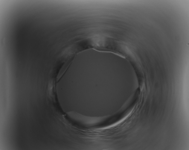X0000089730233200706281555