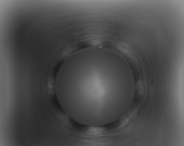 X0000089730234200706281555