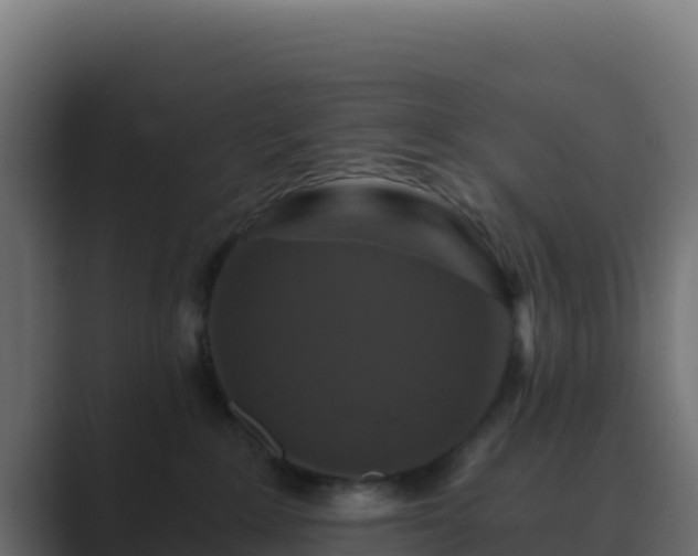 X0000089730235200706281555