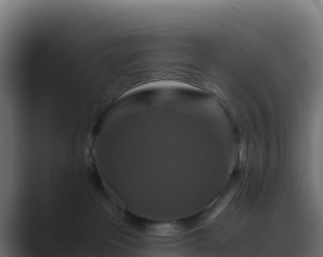 X0000089730237200706281555