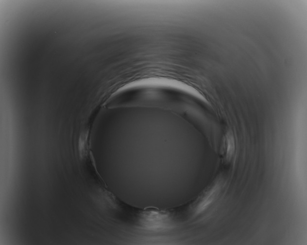 X0000089730239200706281555