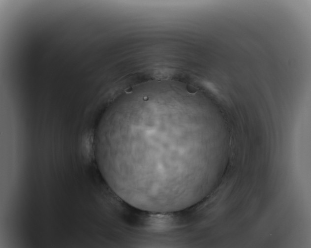 X0000089730240200706281555