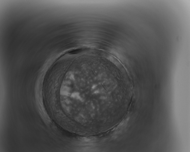 X0000089730241200706281554