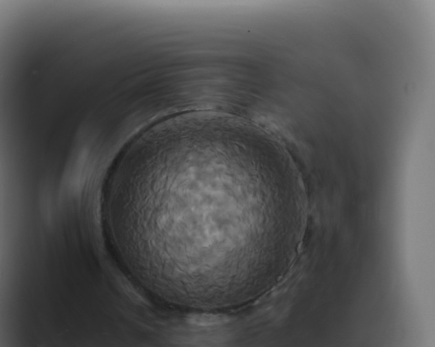 X0000089730242200706281554