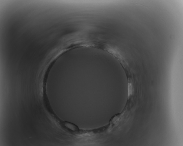 X0000089730243200706281554