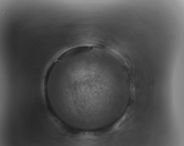 X0000089730244200706281554