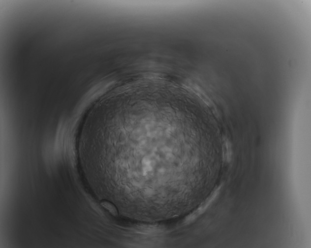 X0000089730245200706281554