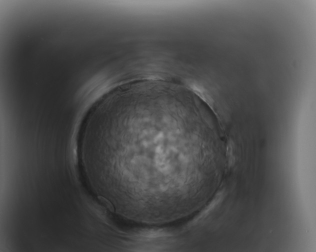 X0000089730246200706281554
