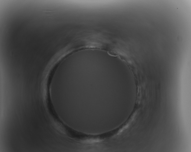 X0000089730247200706281554