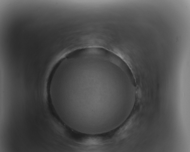 X0000089730248200706281554
