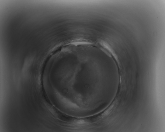 X0000089730249200706281554