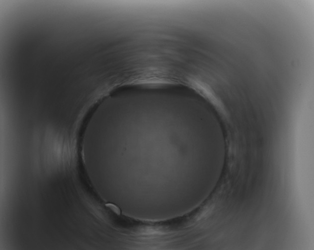 X0000089730250200706281554