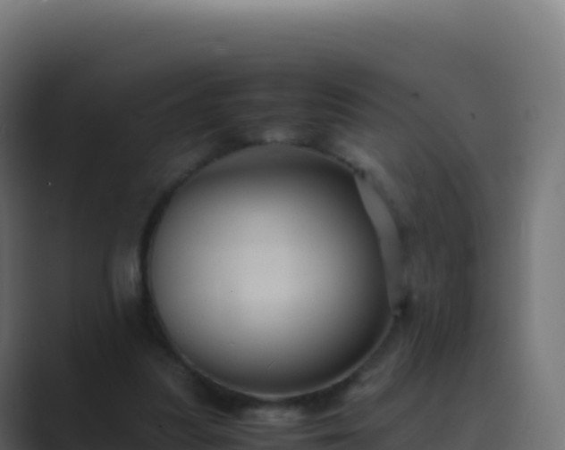 X0000089730251200706281554