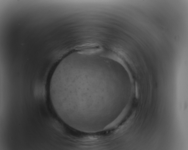 X0000089730252200706281554