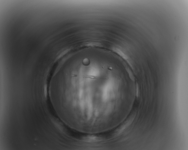 X0000089730253200706281554