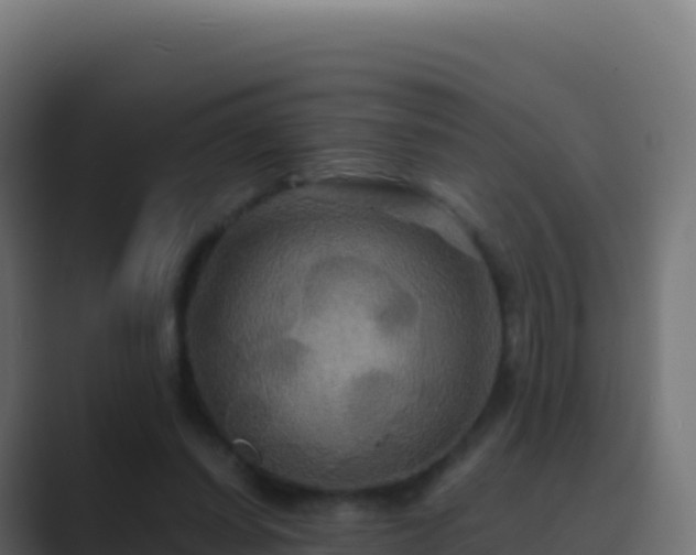 X0000089730254200706281554