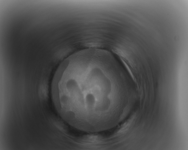 X0000089730255200706281554