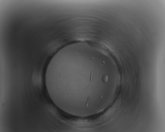 X0000089730256200706281554