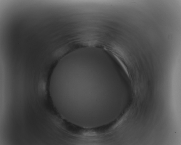 X0000089730258200706281554