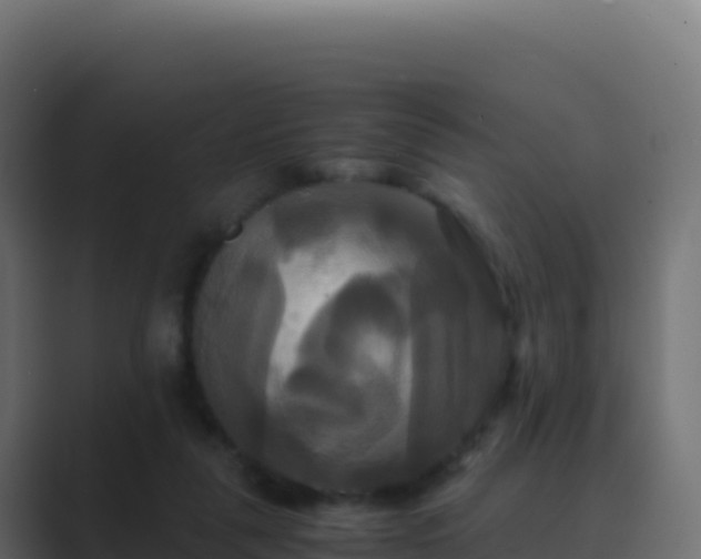 X0000089730259200706281554