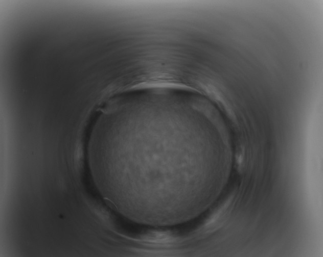 X0000089730260200706281554