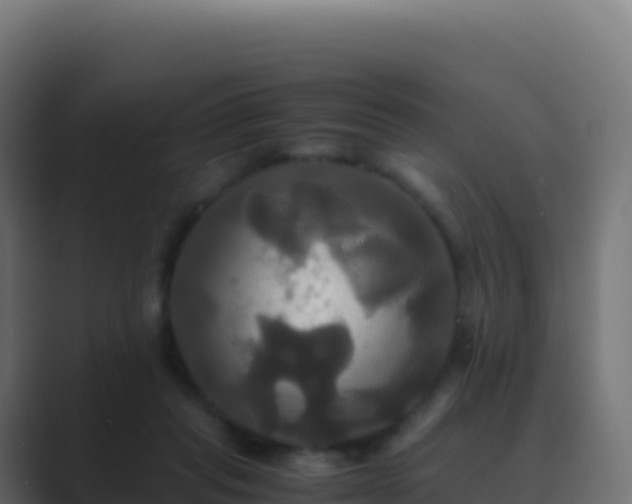 X0000089730261200706281554