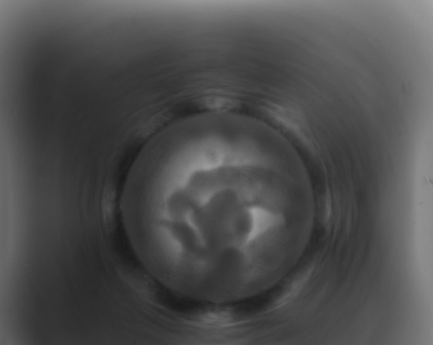 X0000089730263200706281554