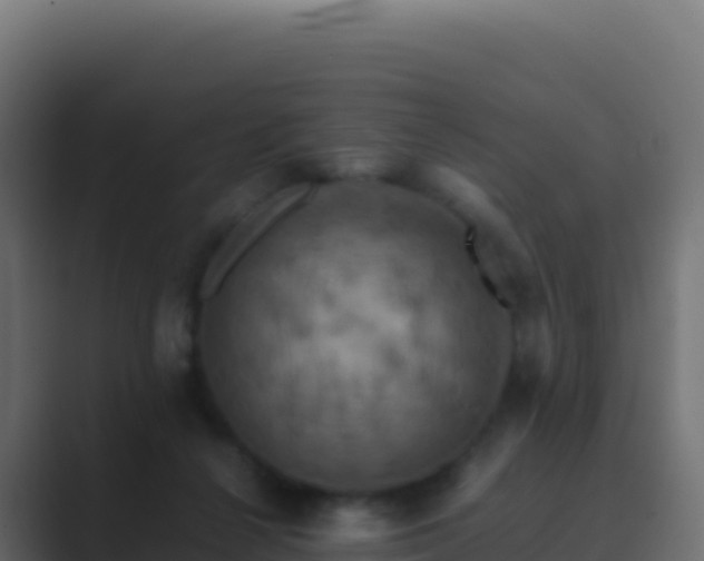 X0000089730264200706281554