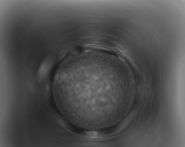 X0000089730265200706281554