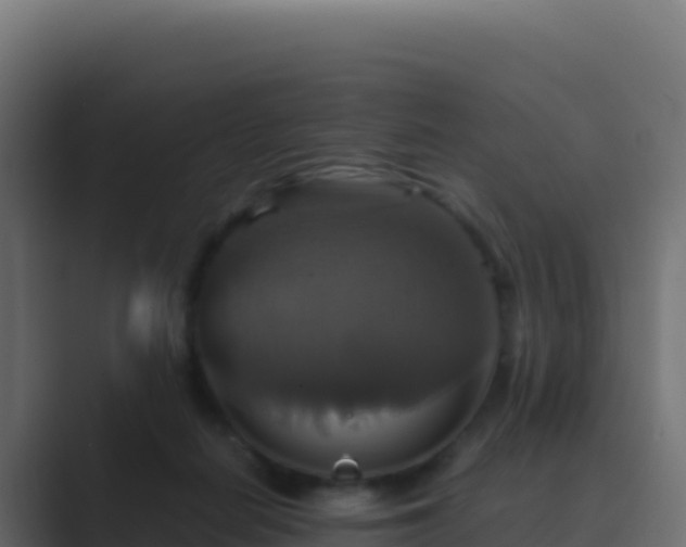 X0000089730266200706281554