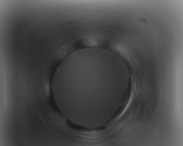 X0000089730267200706281554