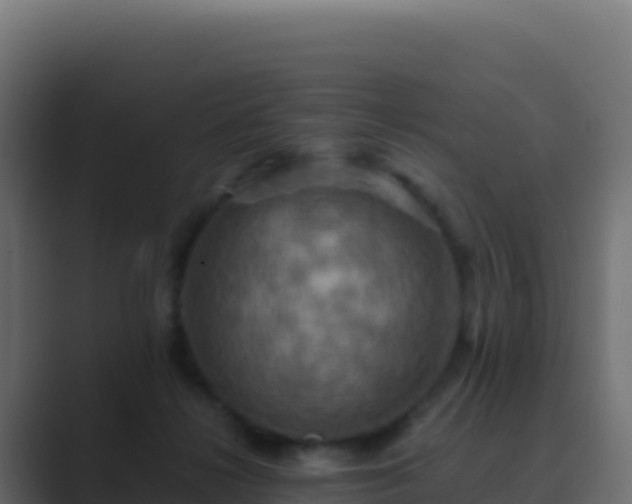 X0000089730268200706281554