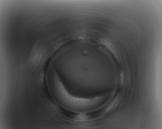 X0000089730269200706281554