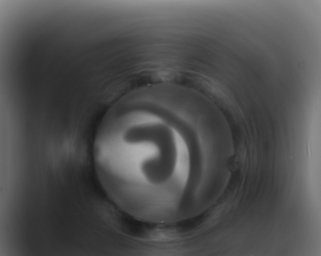 X0000089730270200706281554