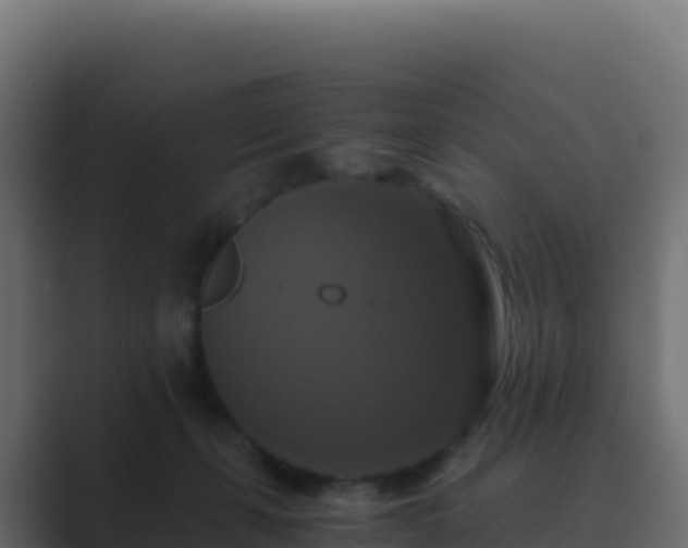 X0000089730271200706281554