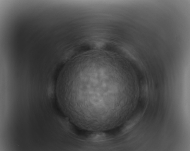 X0000089730274200706281554