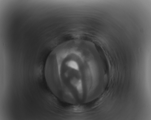 X0000089730275200706281554