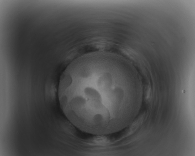 X0000089730279200706281554